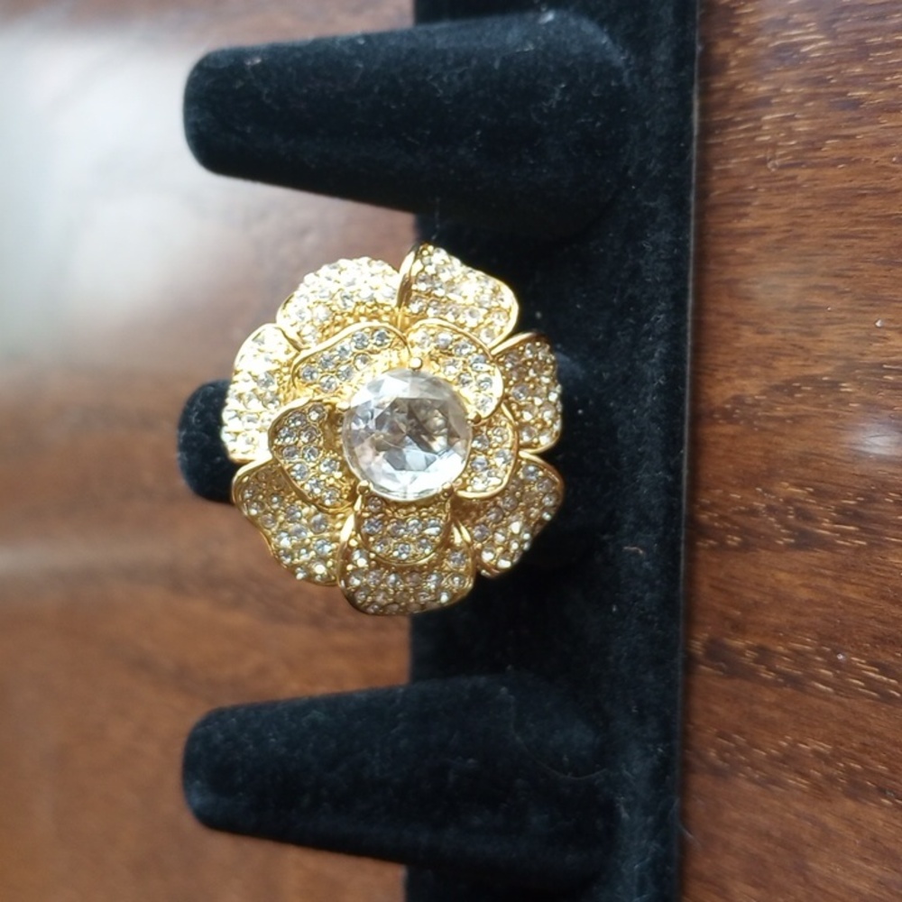 Cz. Ring
